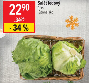 Salát ledový