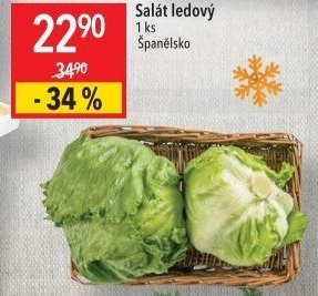Salát ledový