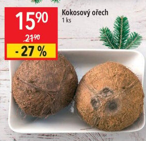 Kokosový ořech
