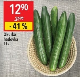 Okurka hadovka