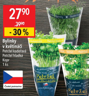 Bylinky v květináči Bylinky s.r.o.