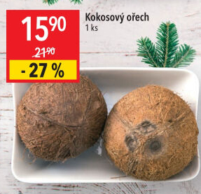 Kokosový ořech