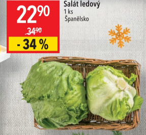 Salát ledový