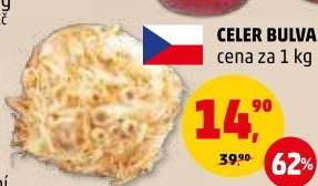 Celer bulva