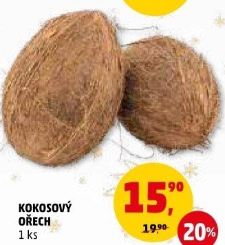 Kokosový ořech