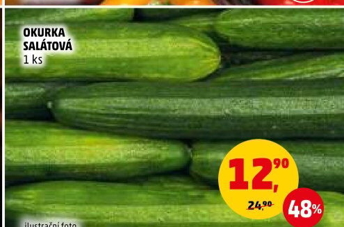 Okurka hadovka