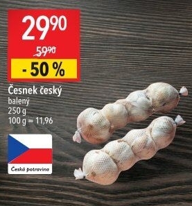 Česnek český