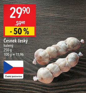 Česnek český