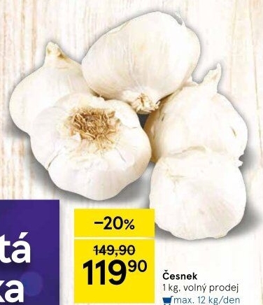 Česnek