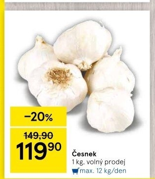 Česnek