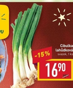 Jarní cibule svazek