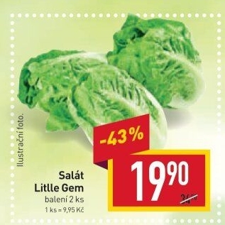 Salát little gem