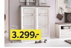 BOTNÍK