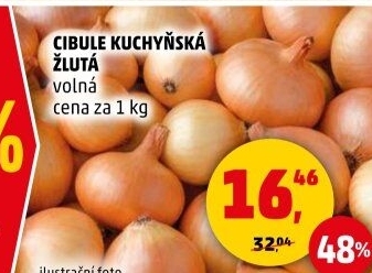 Cibule kuchyňská žlutá