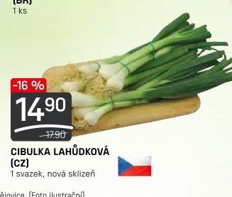 Jarní cibule svazek
