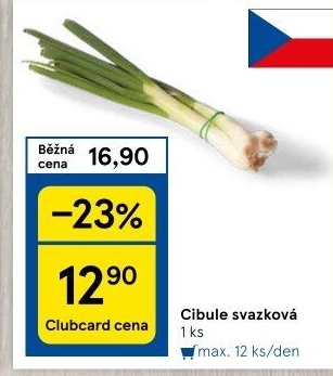 Jarní cibule svazek