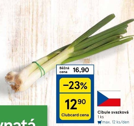 Jarní cibule svazek