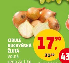 Cibule kuchyňská žlutá