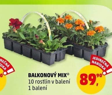 Balkonové rostliny
