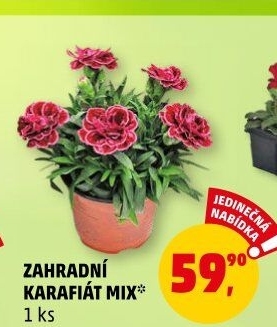 Karafiát
