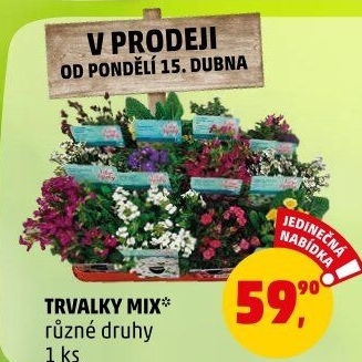 Trvalky