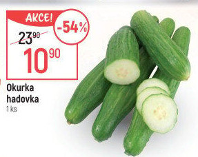 Okurka hadovka