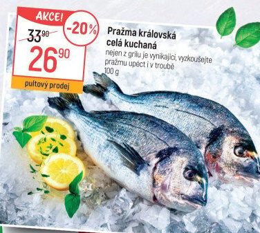 Pražma královská kuchaná