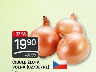 Cibule kuchyňská žlutá