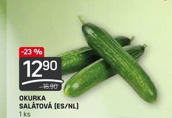 Okurka hadovka