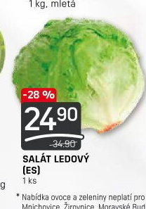 Salát ledový