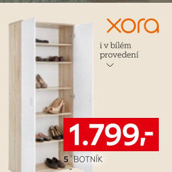 BOTNÍK