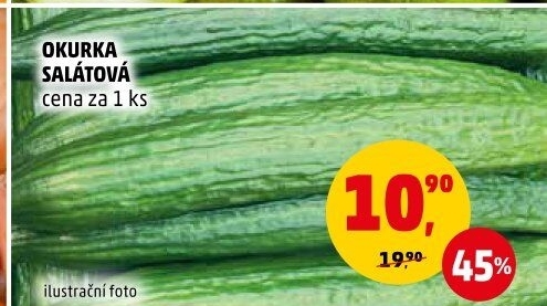 Okurka hadovka