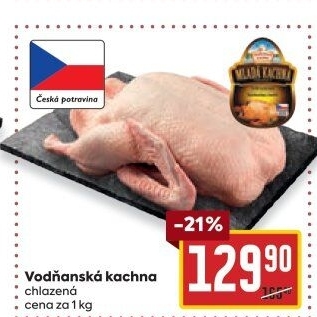 Kachna Vodňanská kachna