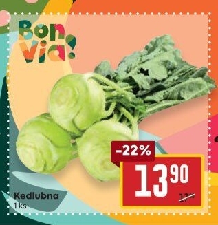 Kedlubna bílá Billa Bonvia
