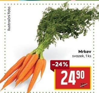 Mrkev svazková