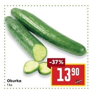 Okurka hadovka