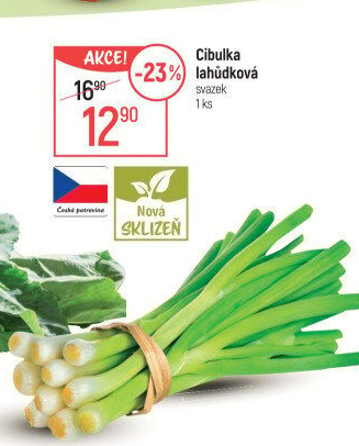Jarní cibule svazek