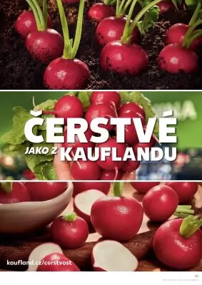 akční leták Kaufland 24.4.2024-30.4.2024