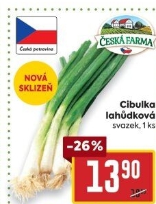 Jarní cibule svazek Česká farma