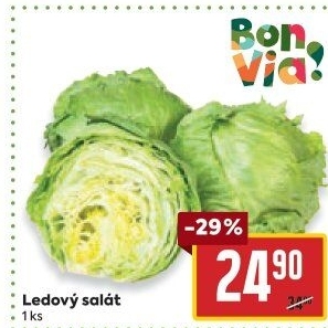 Salát ledový Billa Bonvia