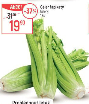 Celer řapíkatý