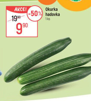 Okurka salátová - hadovka
