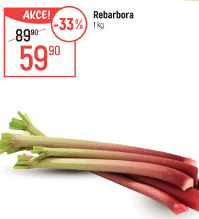 Rebarbora