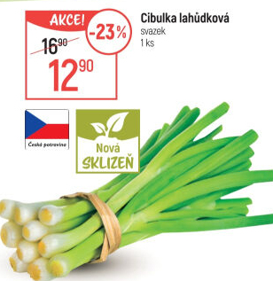 Jarní cibule svazek