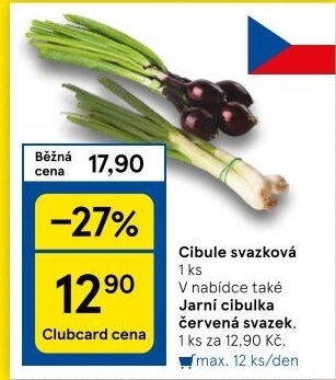Jarní cibule svazek