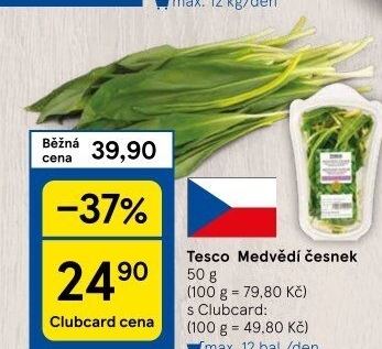Medvědí česnek Tesco