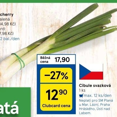 Jarní cibule svazek