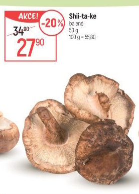Houby Shiitake