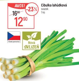 Jarní cibule svazek