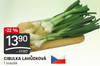 Jarní cibule svazek